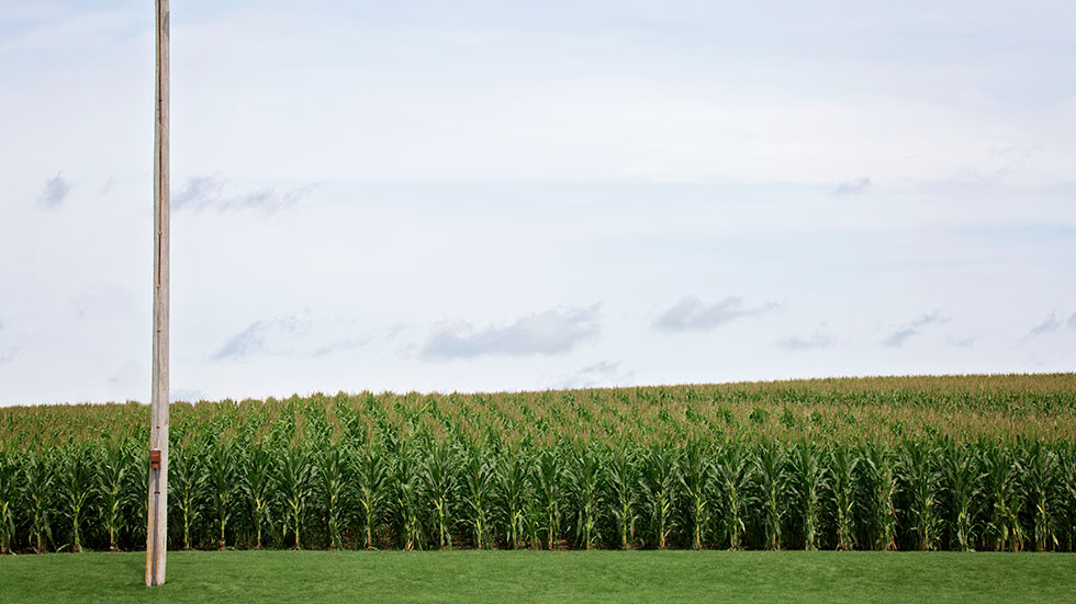 Field of Dreams