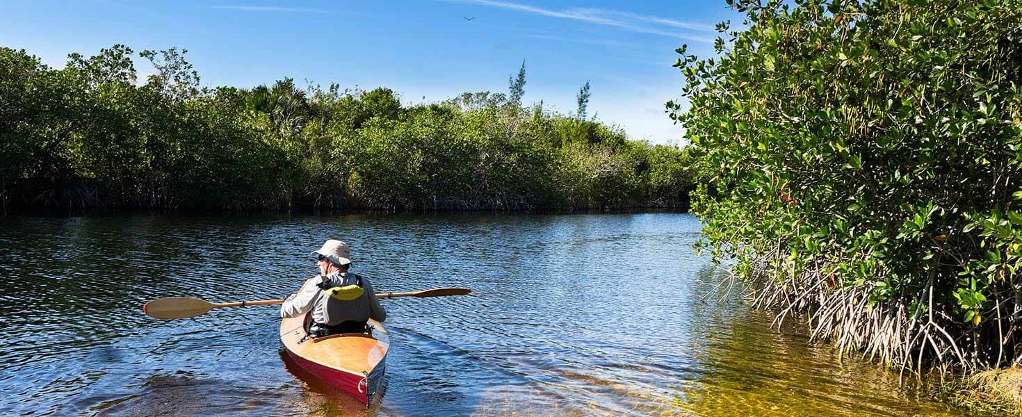 Hero_Florida Wellness Coast