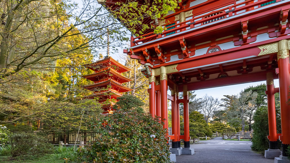 JAPANESE TEA GARDEN, GARDENS OF GOLDEN GATE PARK, SAN FRANCISCO