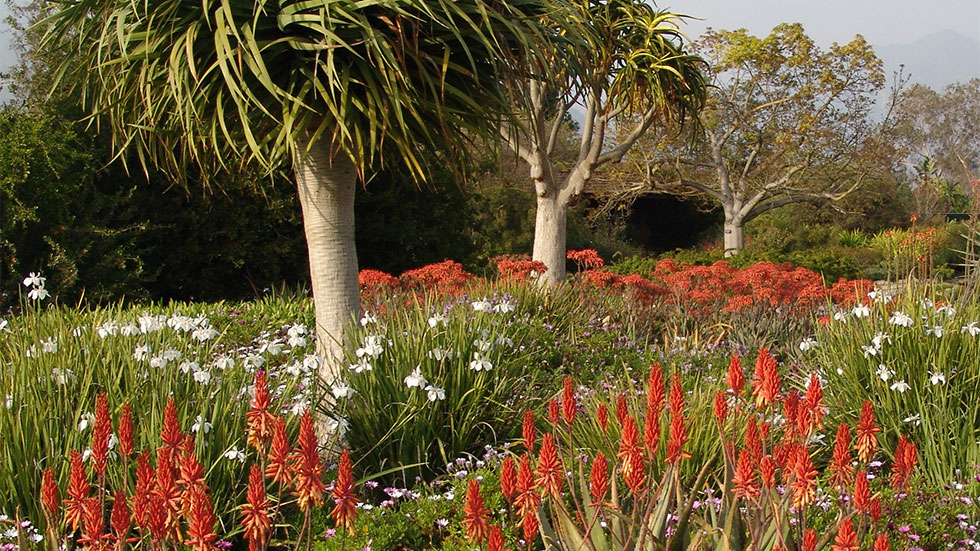 Los Angeles County Arboretum and Botanic Garden