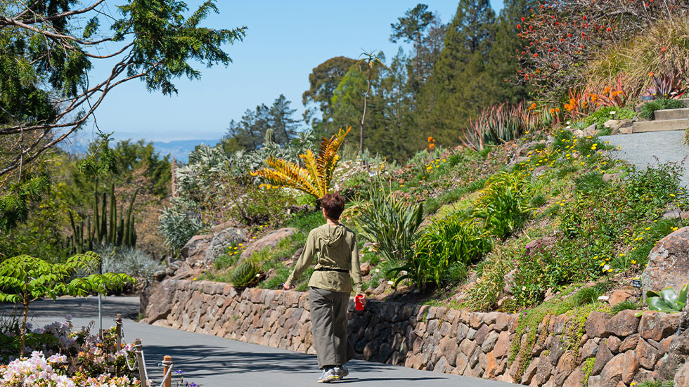 UNIVERSITY OF CALIFORNIA BOTANICAL GARDEN