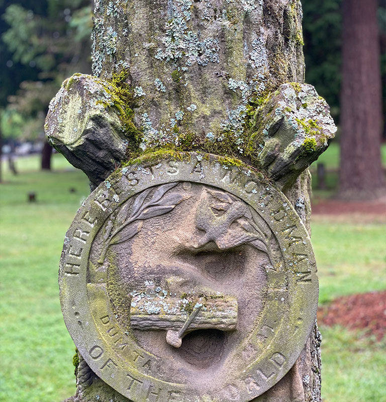 Lone Fir tree stone