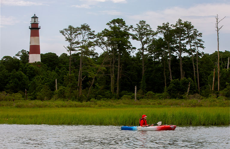 Chincoteague National Wildlife Refuge