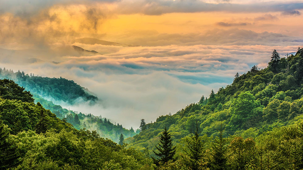 Fog over the Great Smokey Mountains National Park