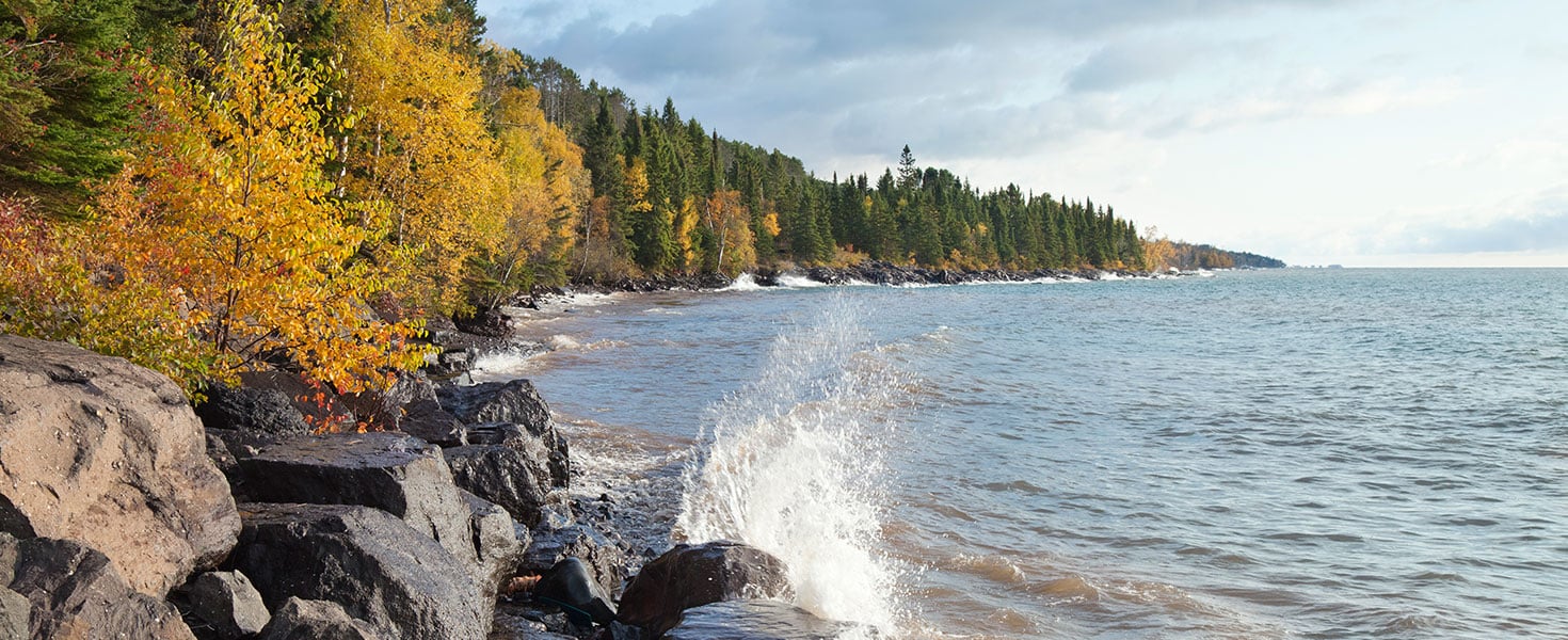 Must Tree Attractions of the Great Lakes