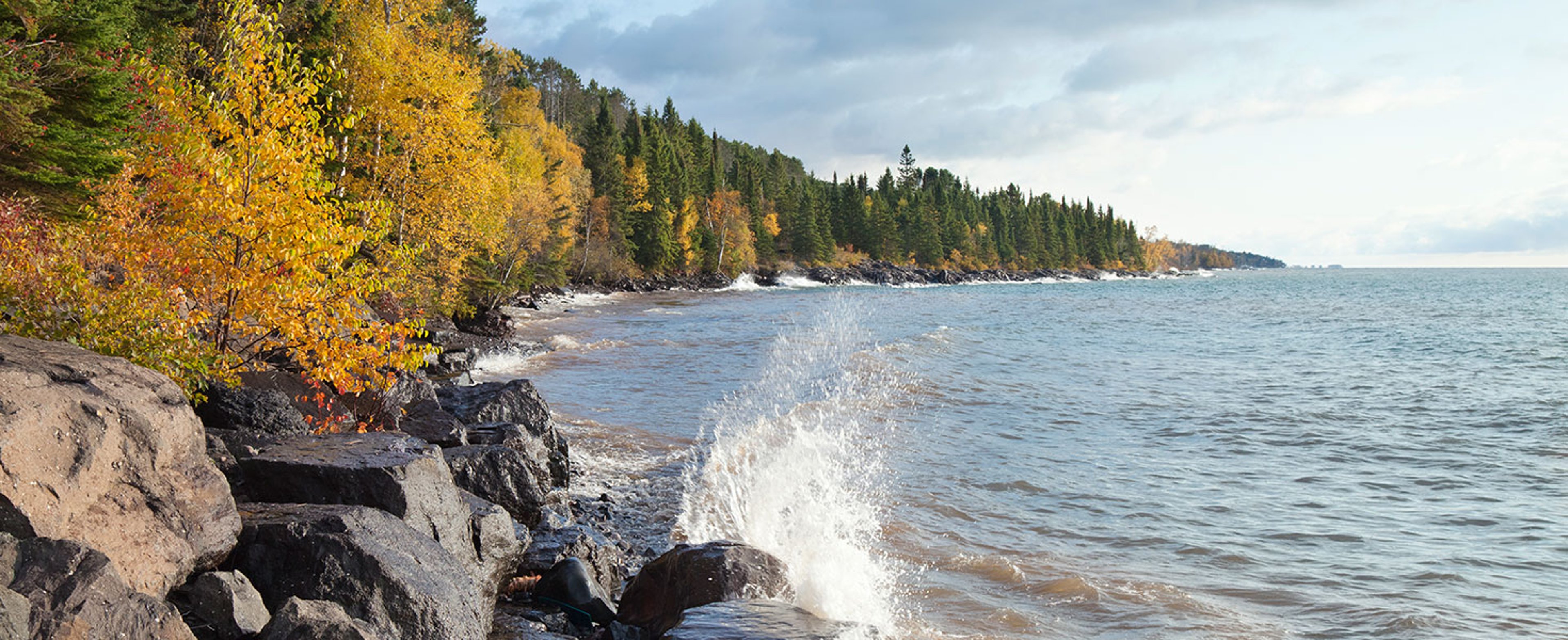 Must Tree Attractions of the Great Lakes