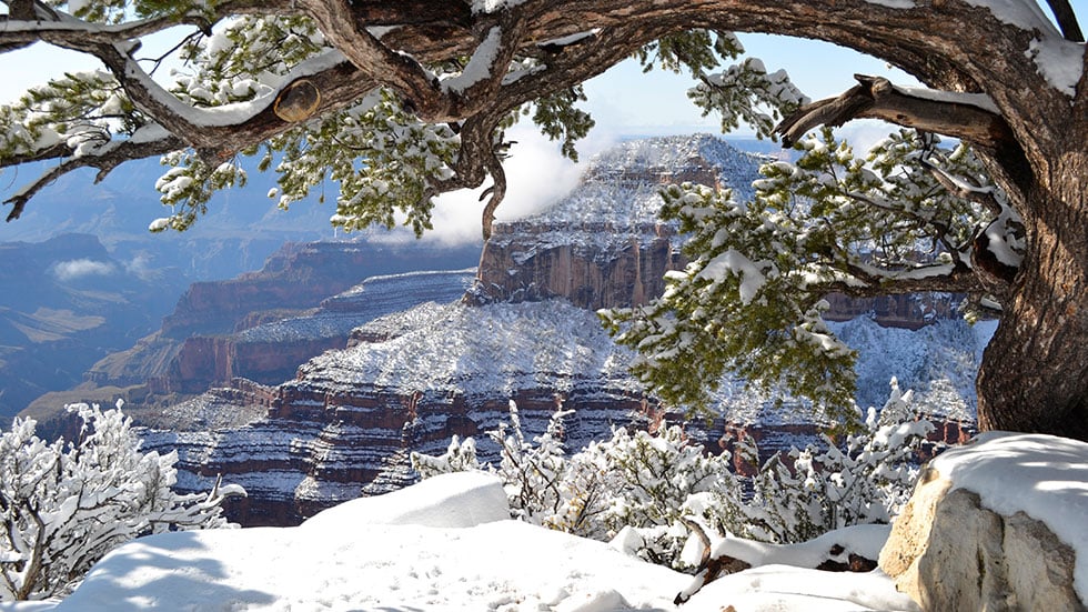 North Rim of the Grand Canyon Felicia Canfield