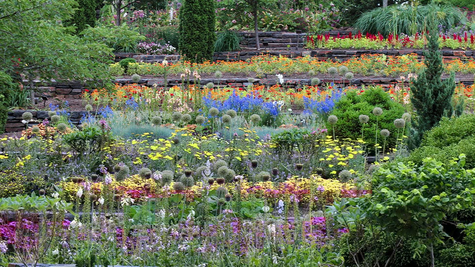 Duke gardens