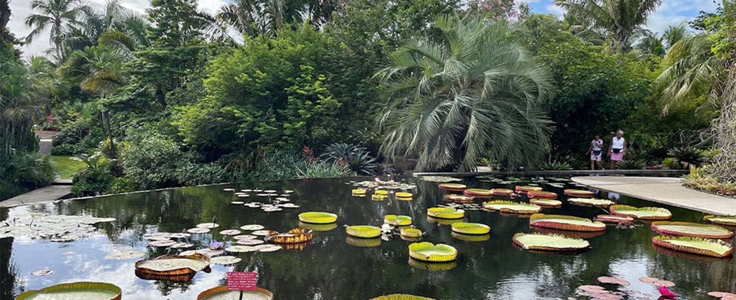 naples botanical garden