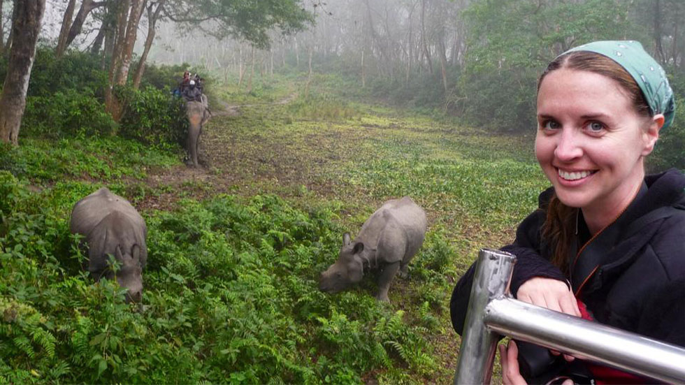 one-horned rhino in the wild