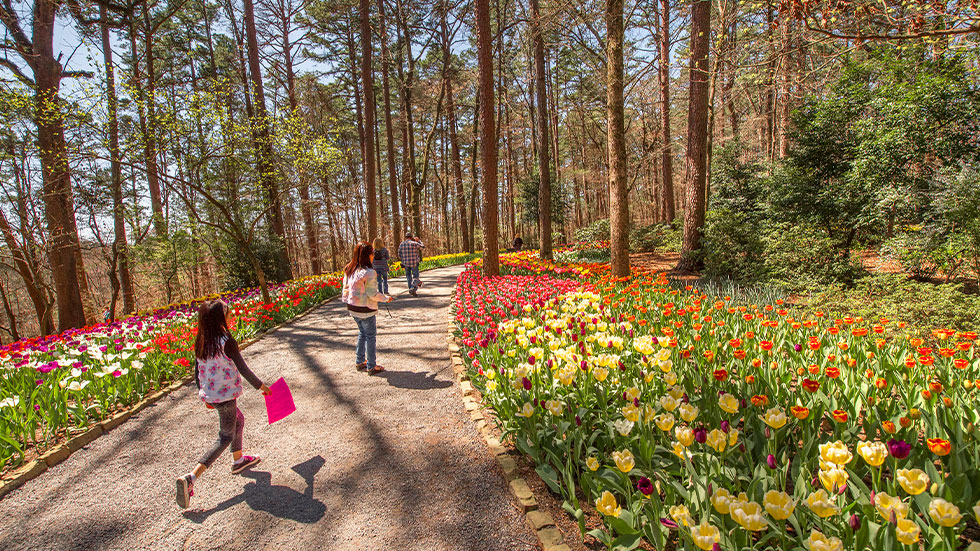 Garvan Woodland Gardens, Hot Springs, Arkansas