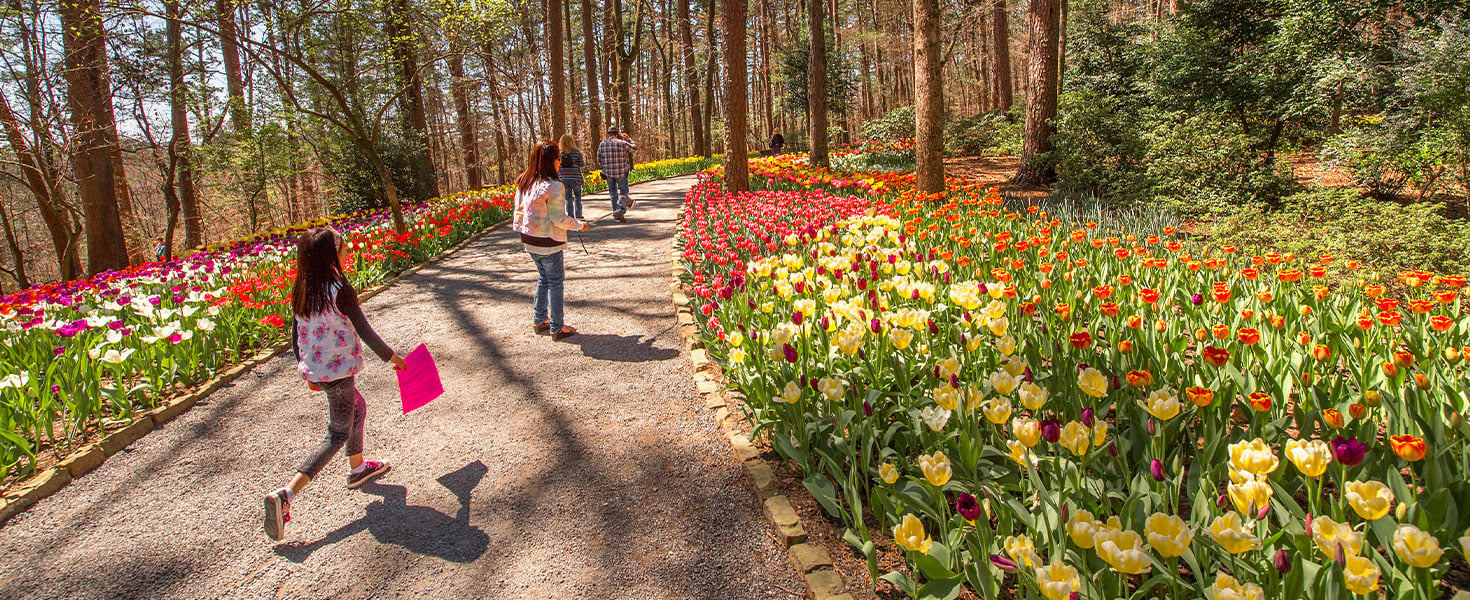 Garvan Woodland Gardens, Hot Springs, Arkansas