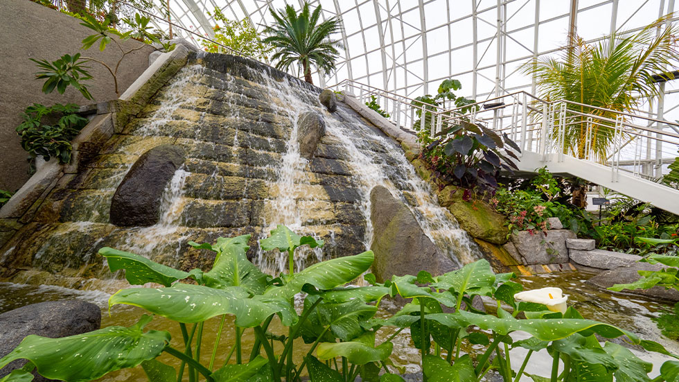 Myriad Botanical Gardens, Oklahoma City, Oklahoma