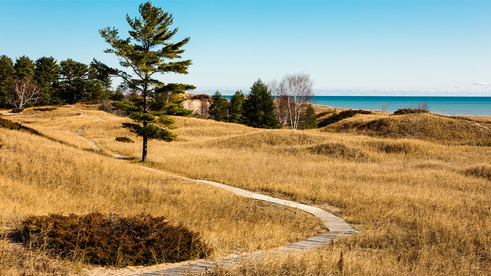 Kohler Andrae State Park