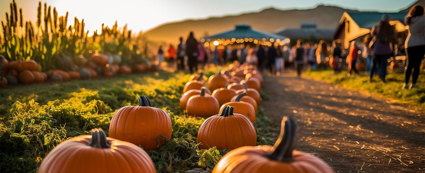 Fall festival featuring pumpkins with tents in the background