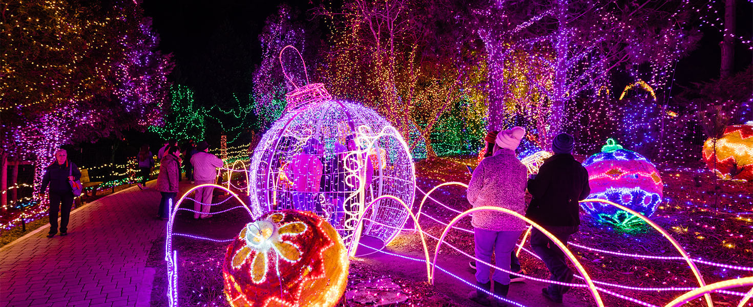 Cambria California Christmas Market celebration