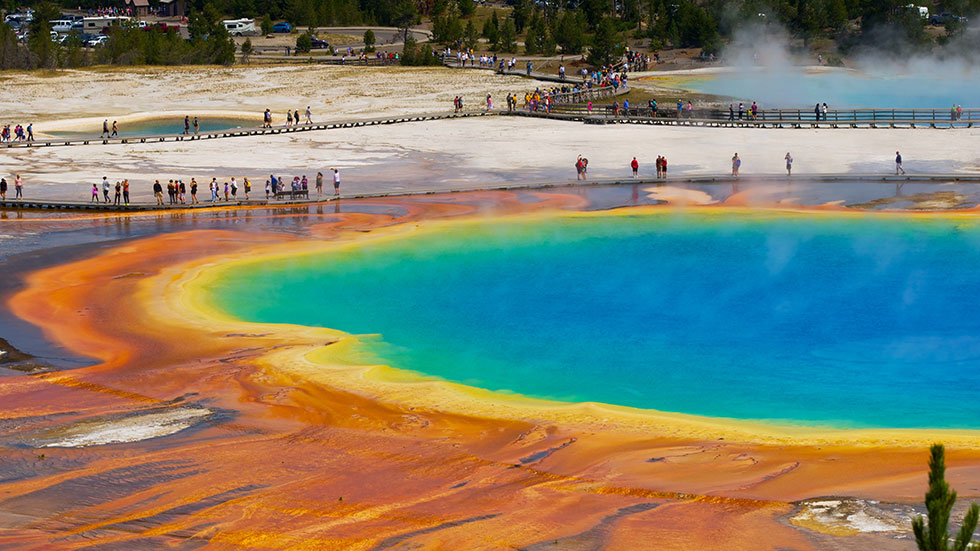 Grand Prismatic Spring Yellowstone National Park