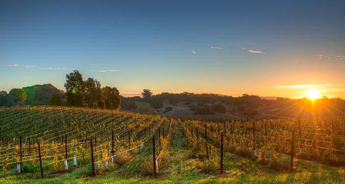 Napa