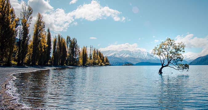 New Zealand by Laura Smesters