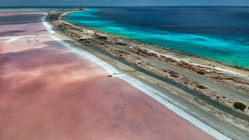 Pink Beach Bonaire 