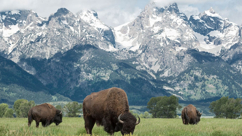 US National parks