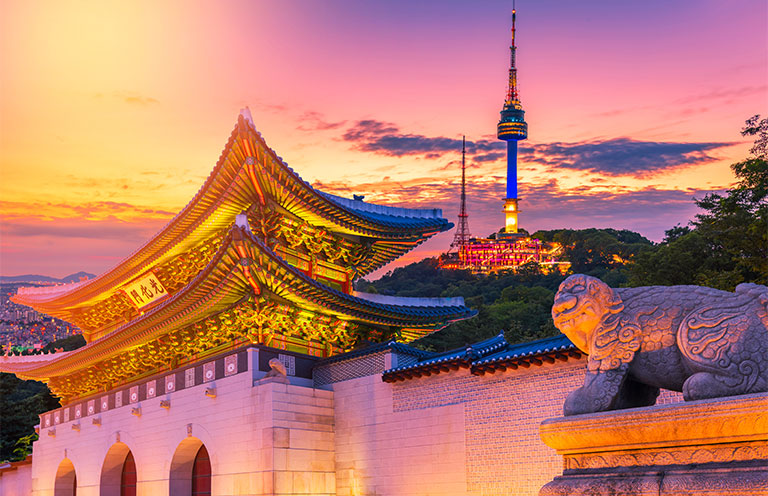 Gyeongbokgung Palace and N Seoul Tower 