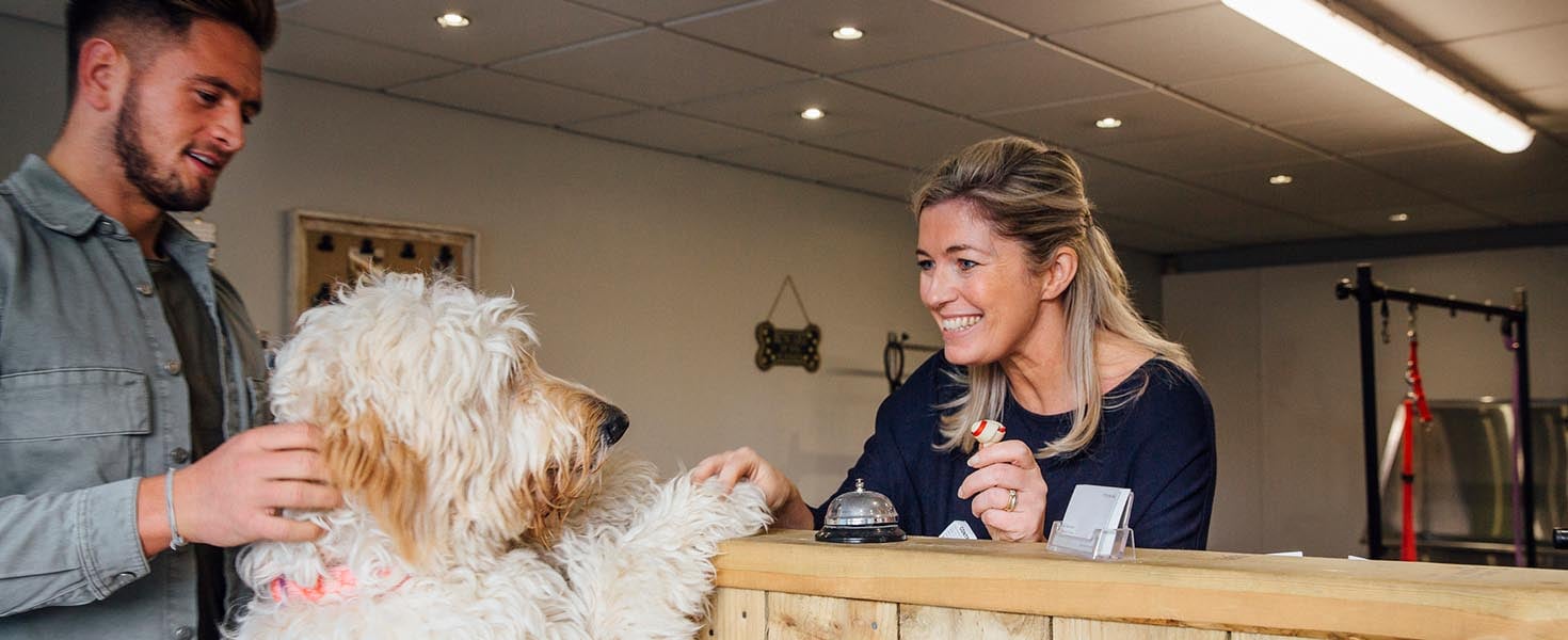 Hero_Travel with Dogs