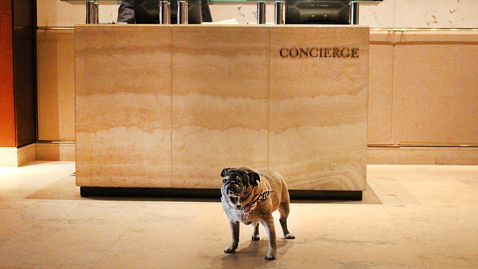 Parker Concierge