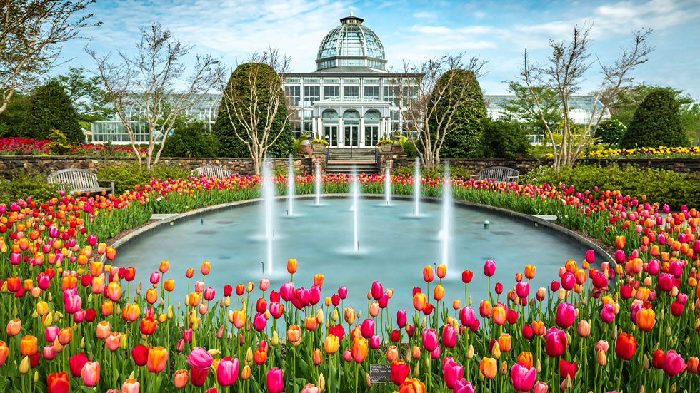 Central Garden wih Sunken Fountain Tulips, Lewis Ginter Garden