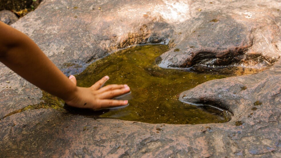 compare human footprints with dinosaur footprints
