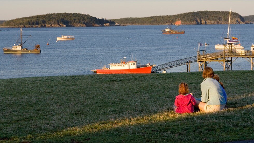 peaceful harbor at sunset 