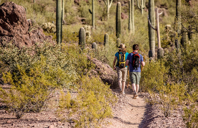 Two Hikers on Rugged Trail