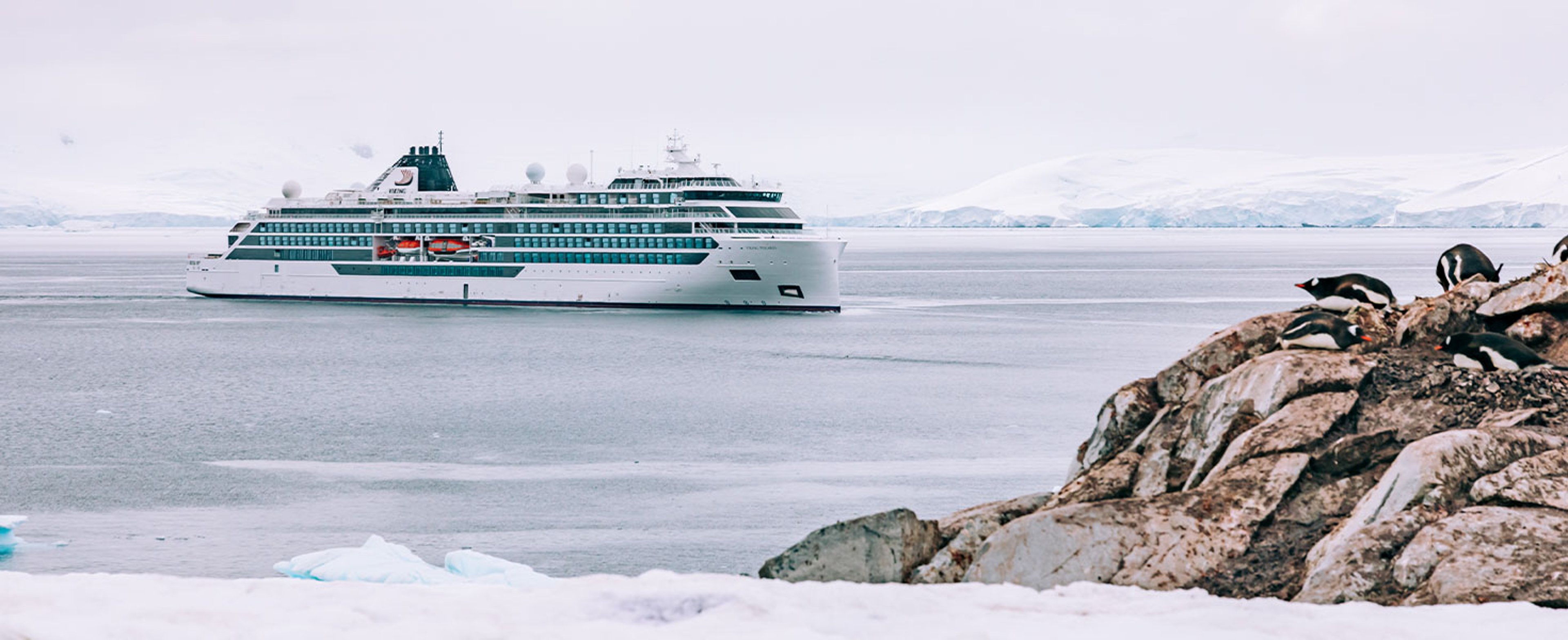 viking cruise ship