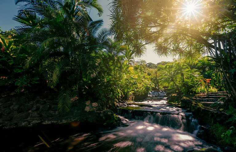 Tabacon Thermal Resort