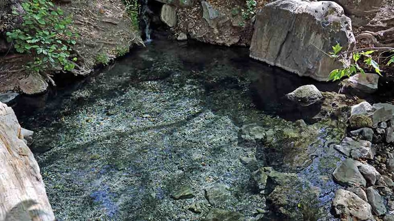 McCauley Hot Springs Trail
