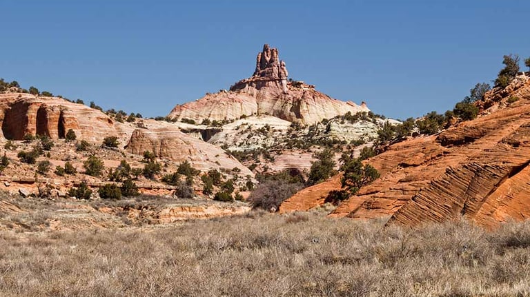 Winsor Trail