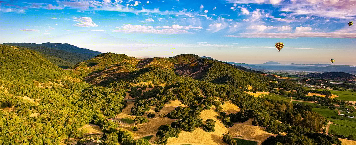 Guide To Visiting Napa