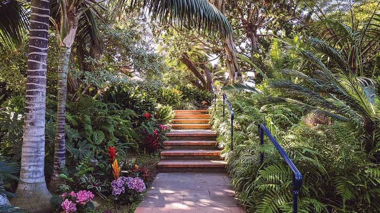 Meditation Garden credit San Diego Magazine