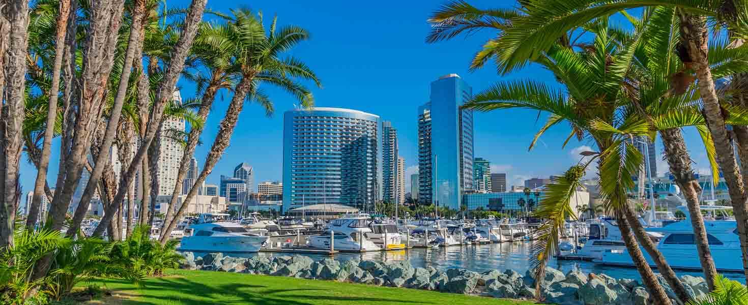 If You're Going To San Diego