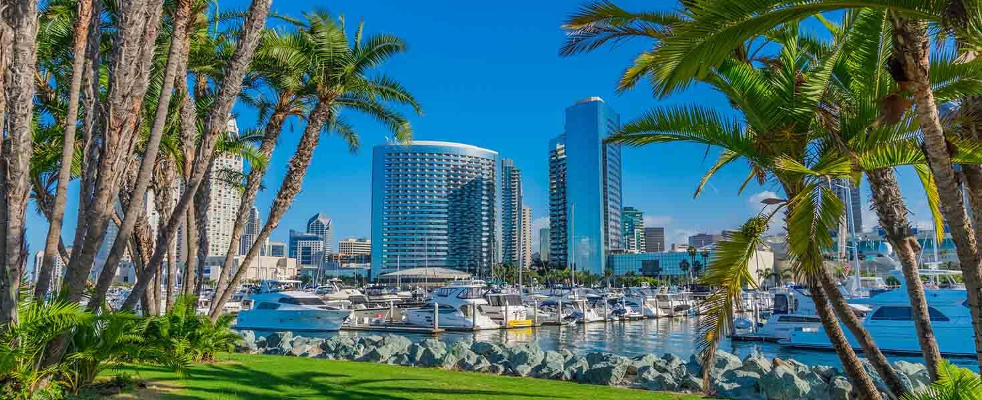 If You're Going To San Diego