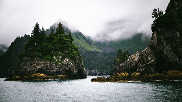 Shores of Kenai Fjords