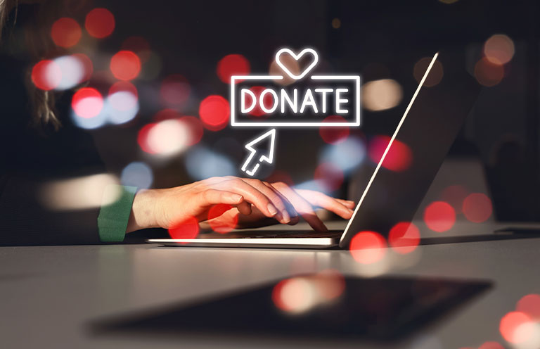 holiday donation website concept