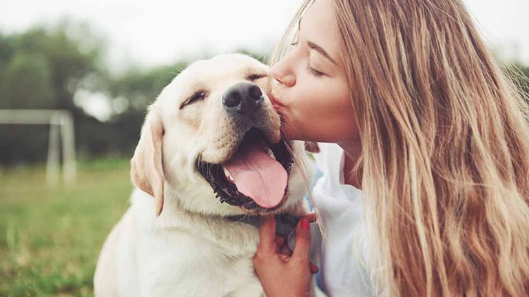Pet Care