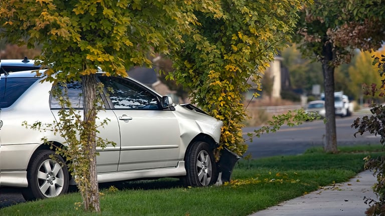 car crashed into tree