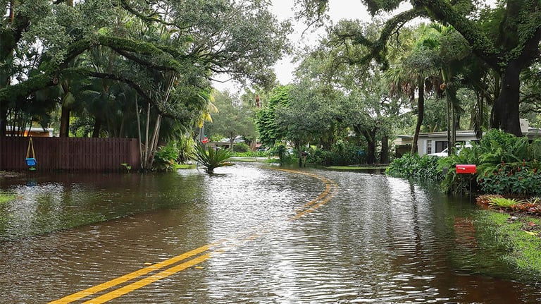 flooded street