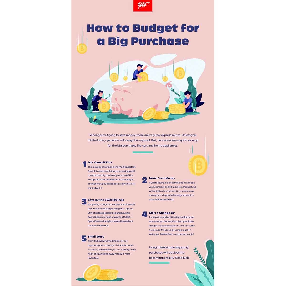 Big Budget Purchase