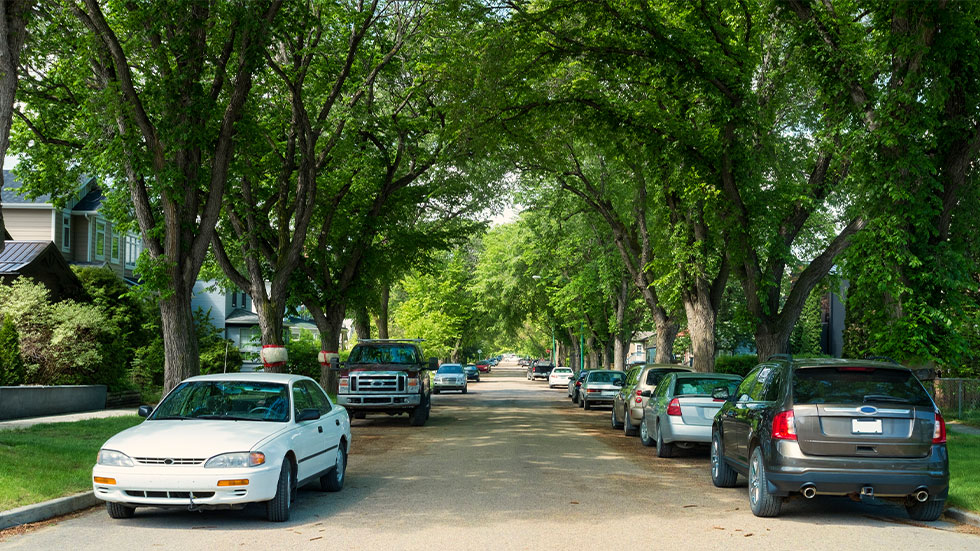 cars parked in the shade