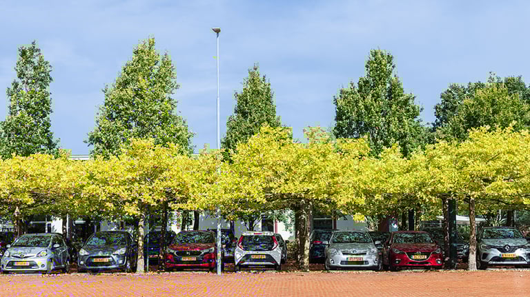City hall and green parking place in Zuidhorn municipality Groningen province in the Netherlands Credit:HildaWeges