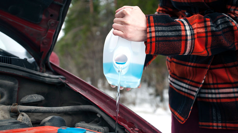 Person adding antifreeze to car