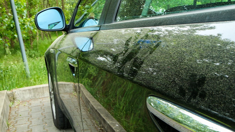 pollen on car